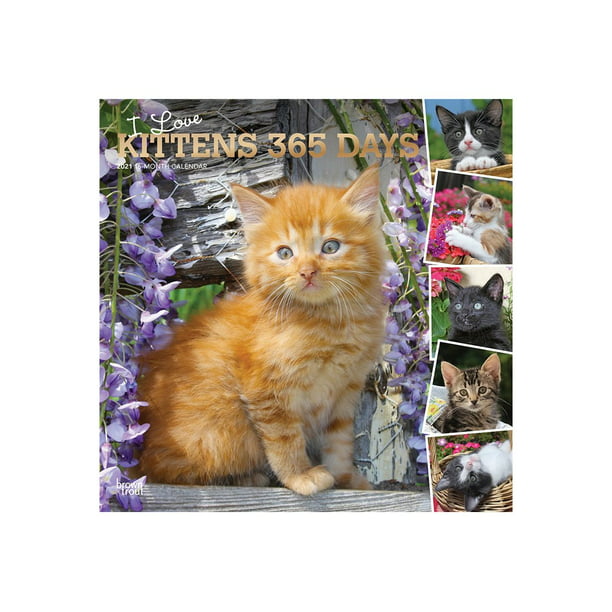 I Love Kittens 12 Month 2021 Wall Calendar 12"X12" 